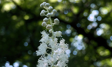 Thorough and Stringent Testing – Helevated